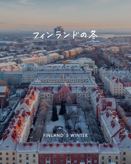 フィンランドの冬